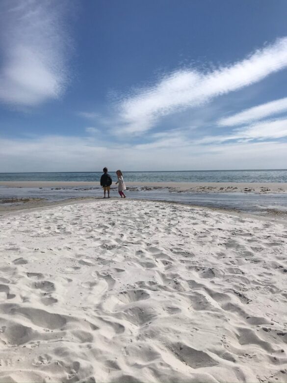 vandleg ved dueodde strand i april 2020