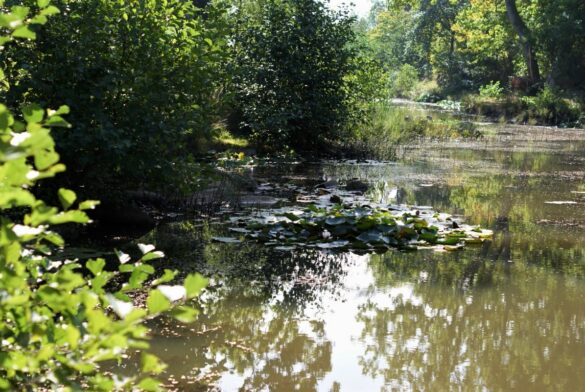 billeder fra tur til graamyr og gudhjem plantage paa bornholm