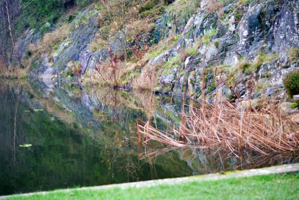 klipper og vandspejl ved borgerdalssoen i roe plantage paa bornholm